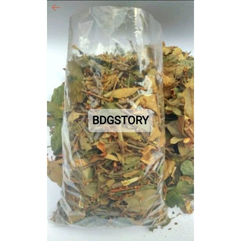 

paket murah benalu pohon cengkeh asli kering per 100GRAM.