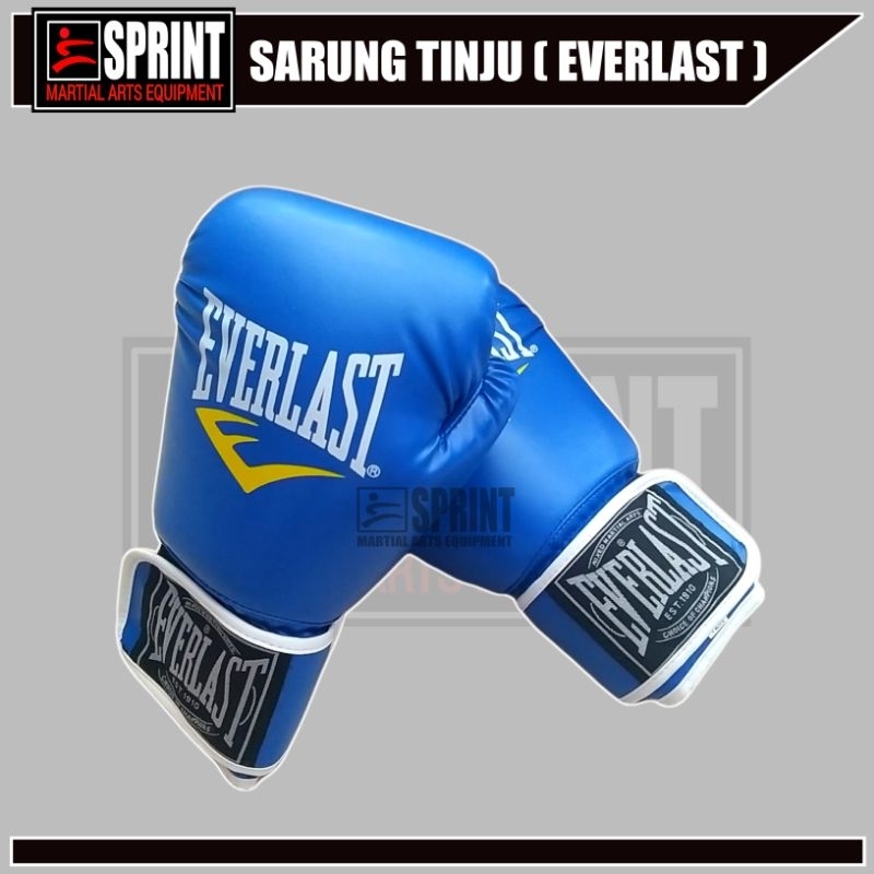 Sarung Tangan Tinju Everlast - Gloves Everlast - Hand Boxing Everlast