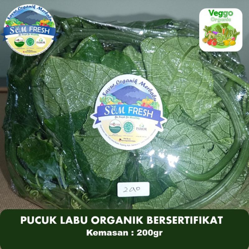 

Daun Pucuk Labu Organik