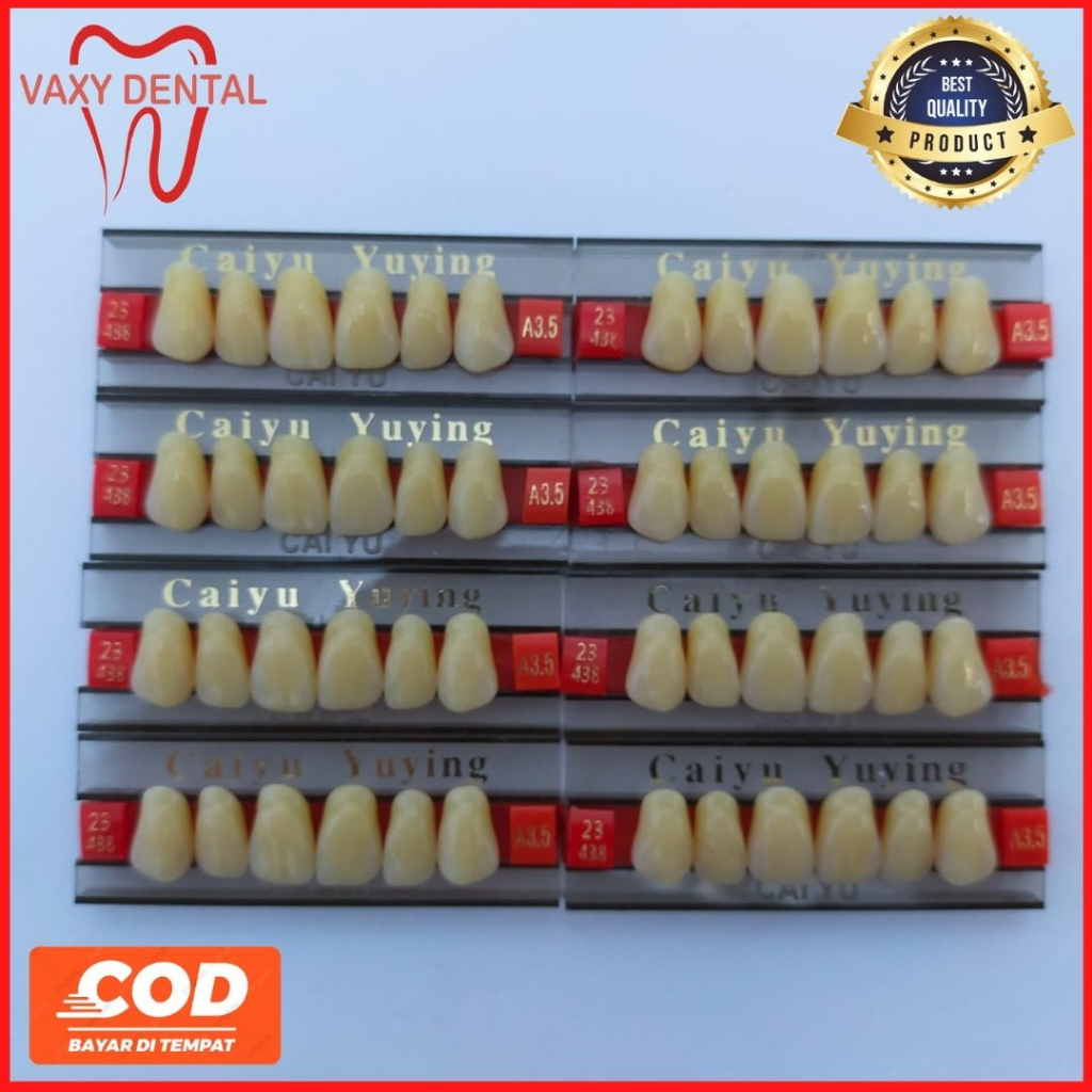 Gigi Palsu Caiyu Depan Atas 1 Box/Kotak/Dus Size 501 Dan 503 Ukuran Besar Jumbo Big Size Isi 16