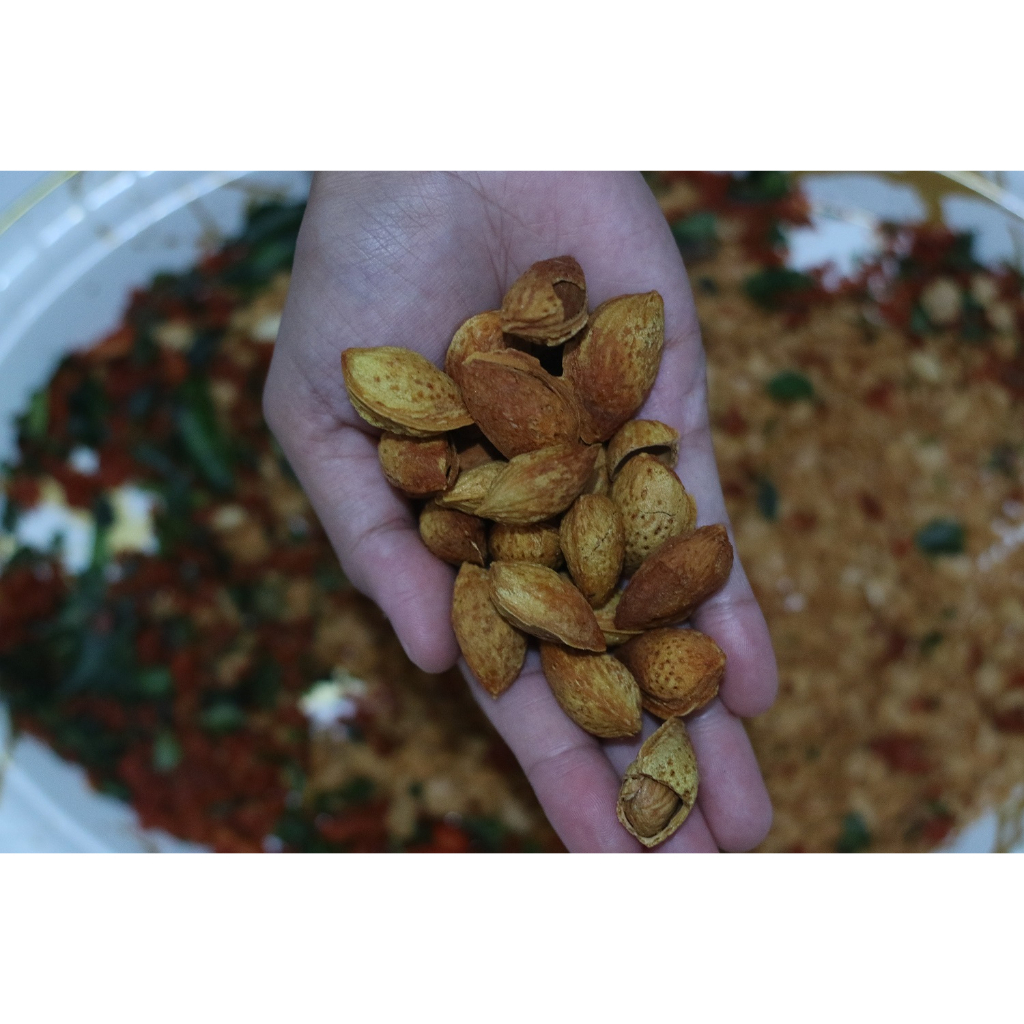

Kacang Almond Panggang dengan Kulit 170 gr