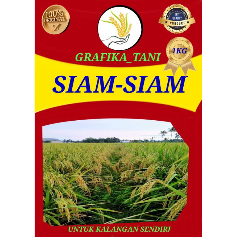 BENIH PADI UNGGUL SIAM SIAM 1KG