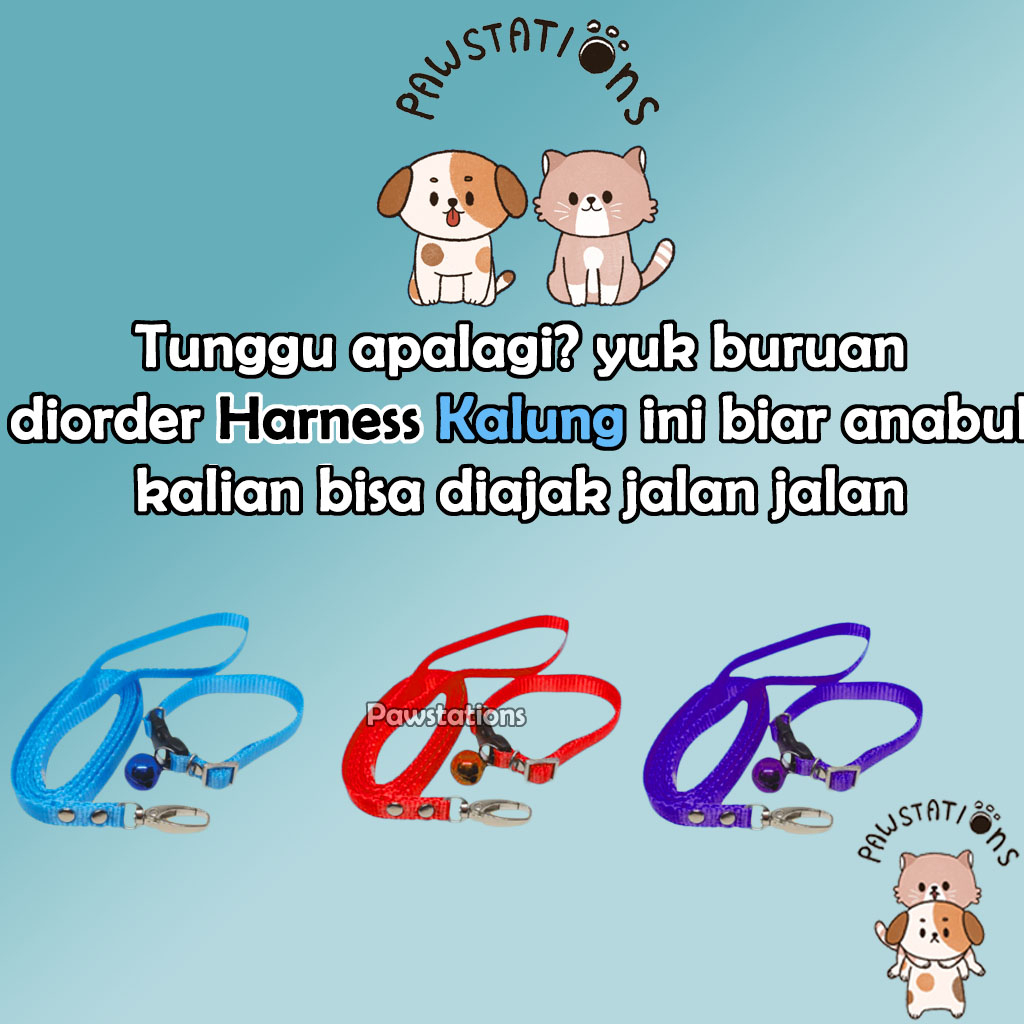 Tali Tuntun + Kalung Kucing dan Anjing Cat Leash Dog Leash