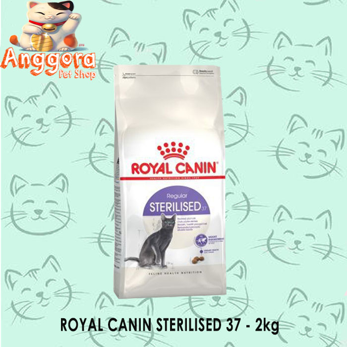 Makanan Kucing Premium ROYAL CANIN STERILISED 37 2kg