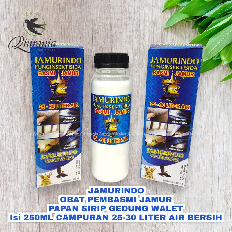 jamurindo pembasmi jamur walet