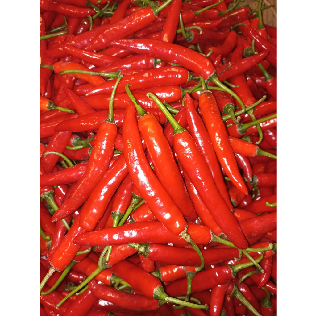 CABAI MERAH TW FRESH 1KG