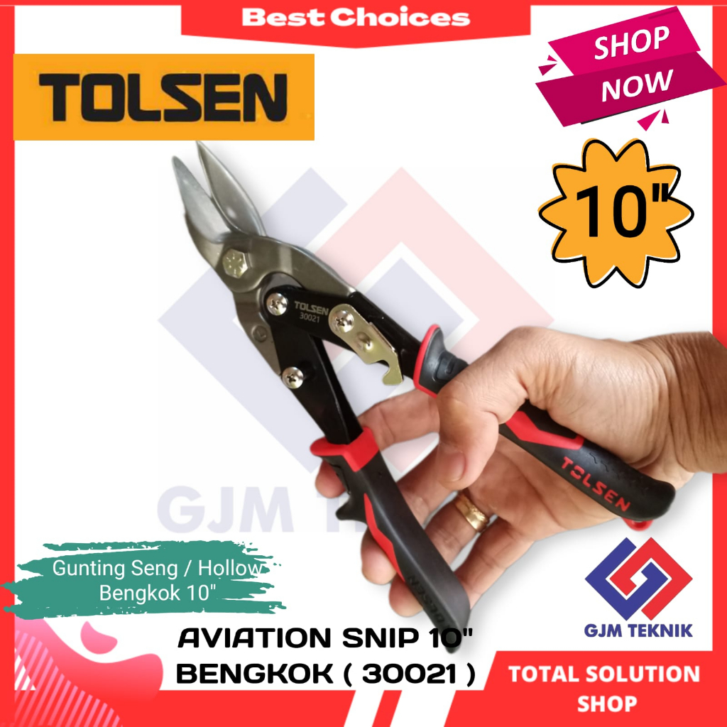 Gunting Holo Seng baja 250mm - Bengkok TOLSEN 30021