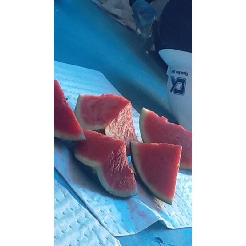 

makanan 1kg