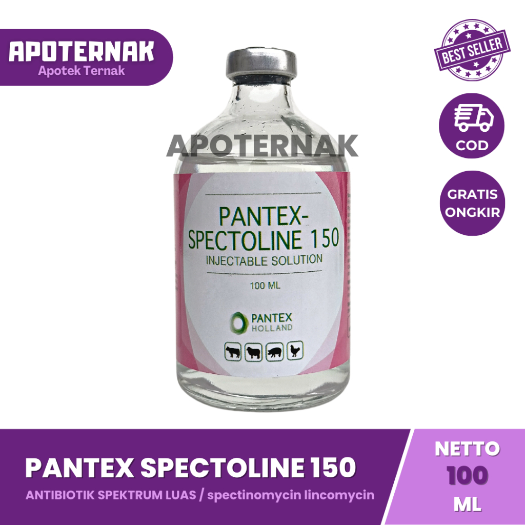 PANTEX SPECTOLIN 100 ml | Injeksi Pantex Spectolin Spektolin | Like LS Injection Interspectin L