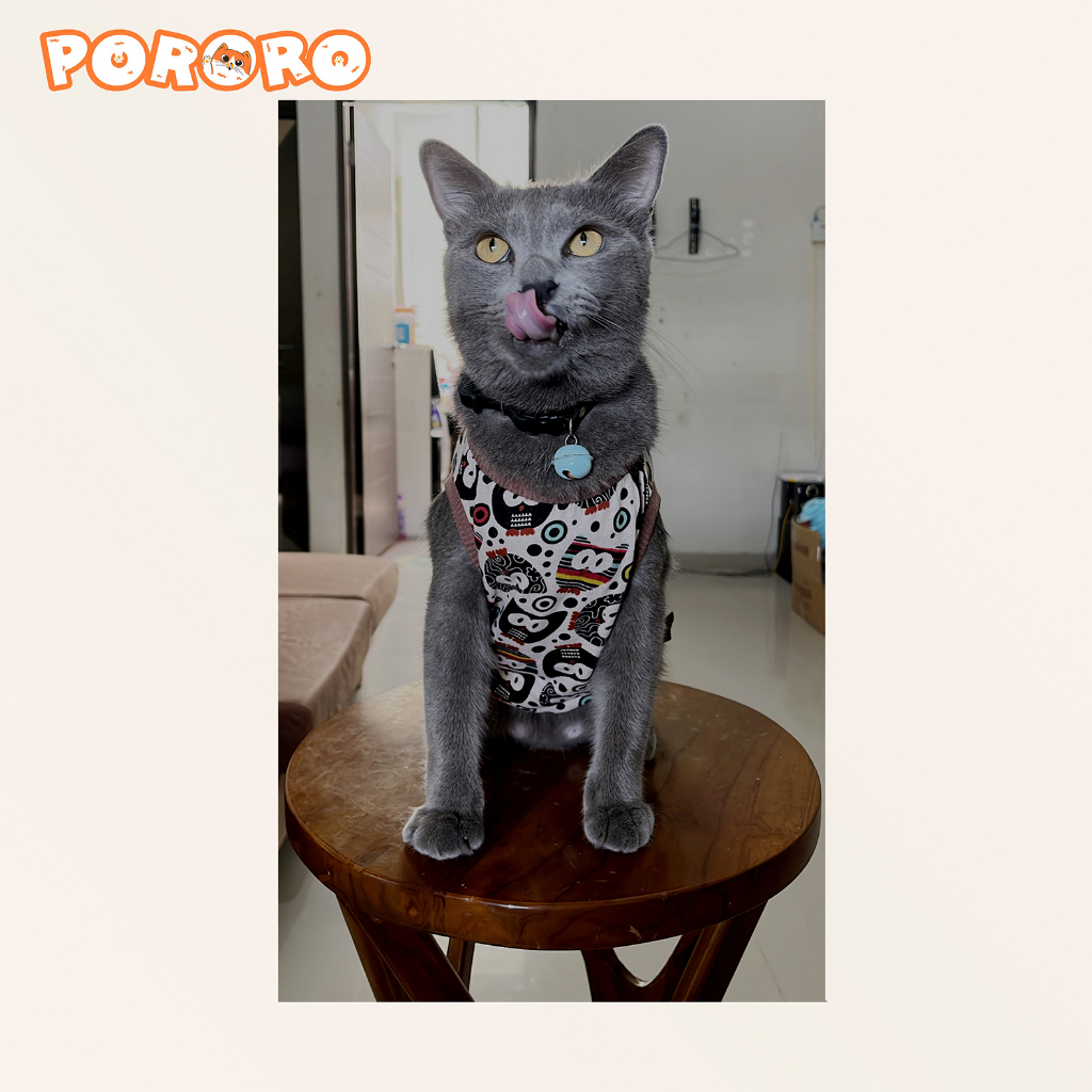 PORORO - Baju Kucing OWL