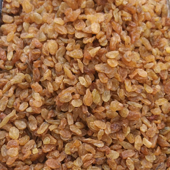Kismis golden raisin 1 kg / kismis asam manis / kismis arab / oleh oleh haji umroh