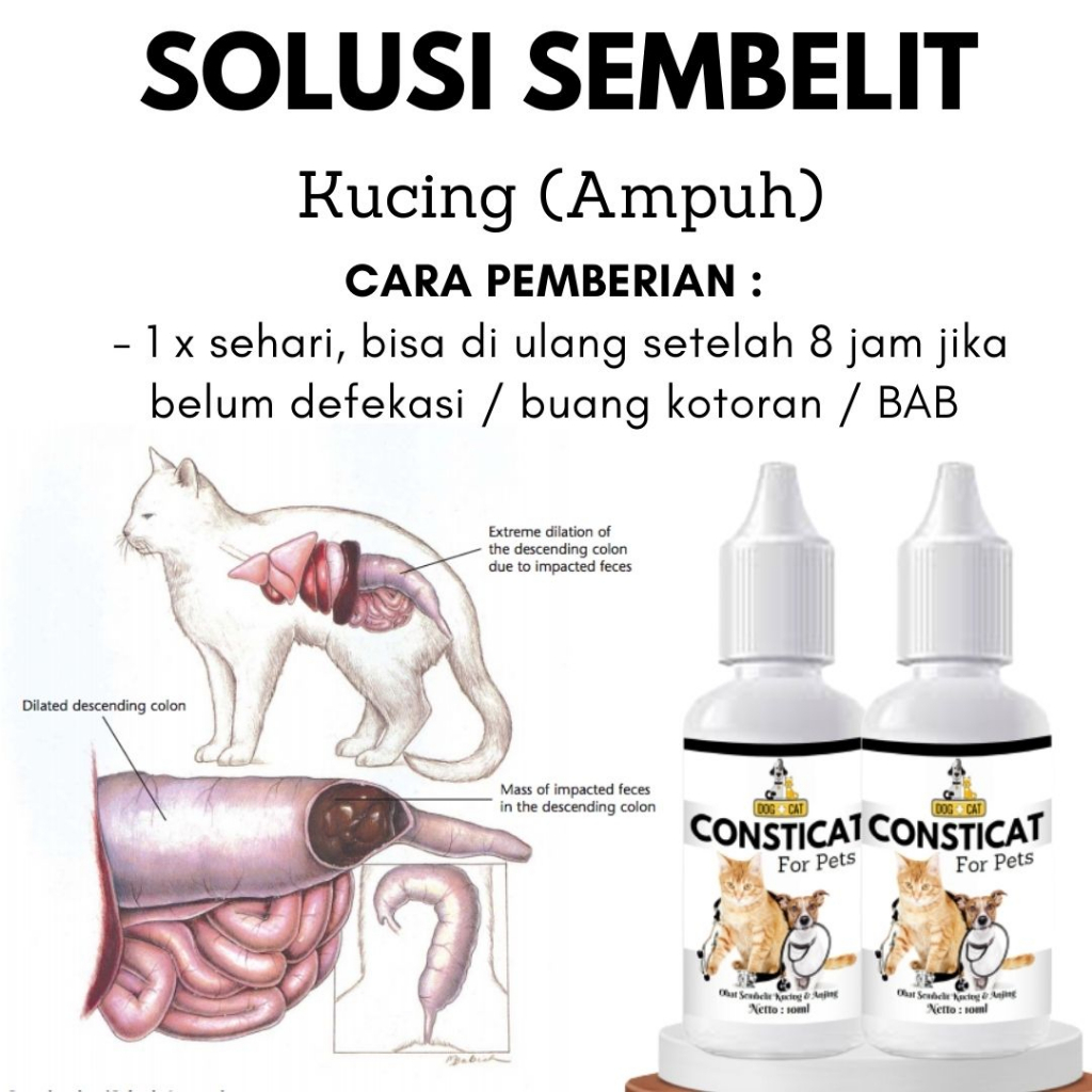 Obat Mengatasi Sembelit pada Kucing Obat Sembelit Kucing Solusi Ampuh FEFARM