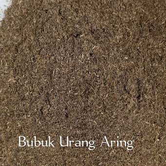 

HERBAL BUBUK TERBAIK DAUN URANG ARING /ORANG ARING 100 GRAM