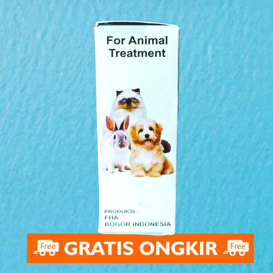 herbal mengobati jamur scabies tungau kucing anjing