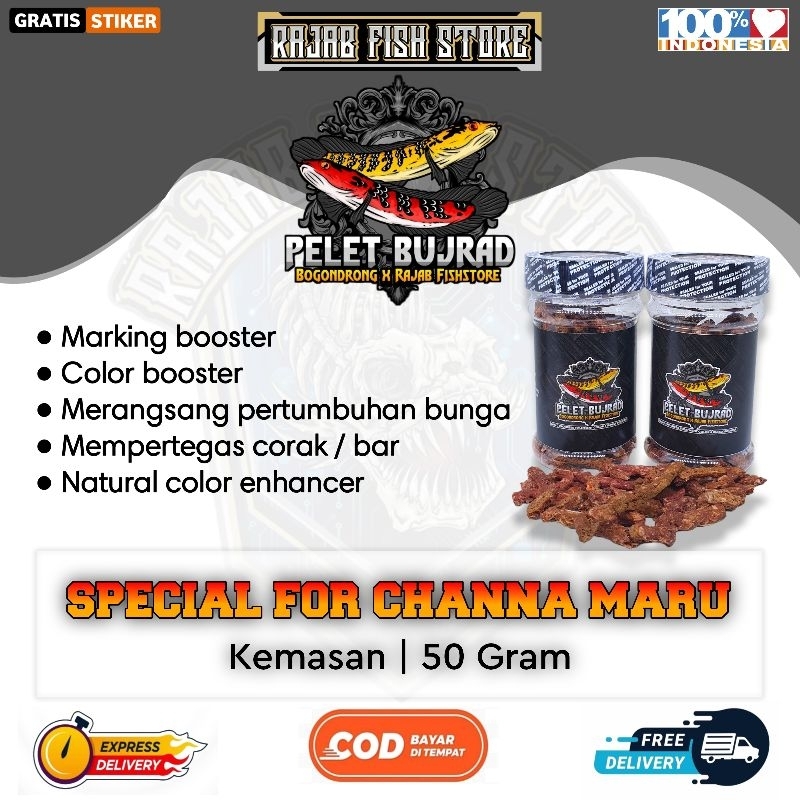 Pelet bujrad x rajab fishstore / pelet bunga channa maru