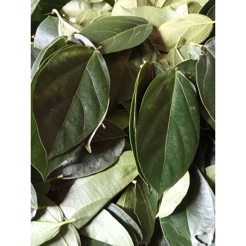 

Daun cingcau 500 gr