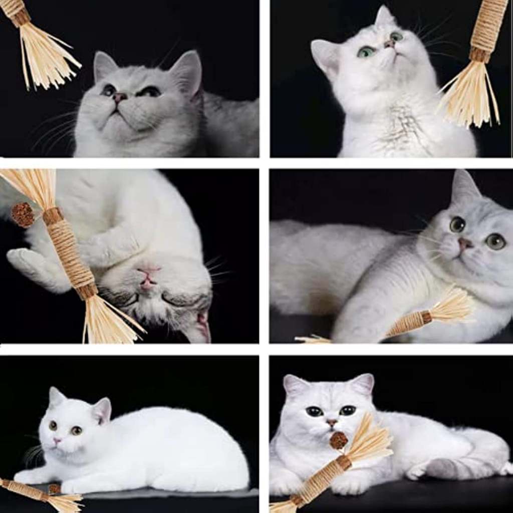 Pet' oPedia Catnip Stick Mainan Pembersih Gigi Kucing Silvervine Natural Matatabi Sticks For Cat Silvervine Sticks For Cat