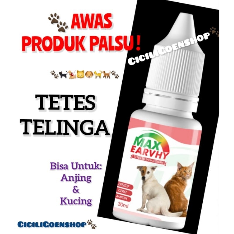 MAX EARVHY DROP Obat TETES telinga  infeksi kucing anjing