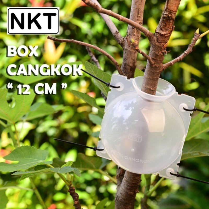 (1 pax isi 3 set) NKT CANGKOK M (8cm) : box untuk mencangkok tanaman dan bunga praktis dapat dipakai ulang