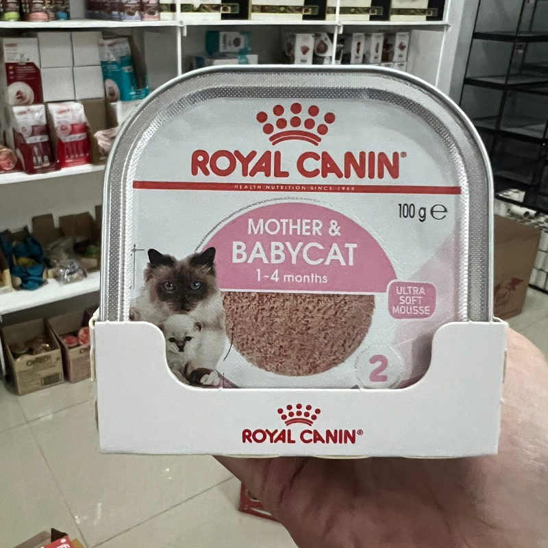 Royal Canin Mother and BabyCat Tray Wet Food 100gr