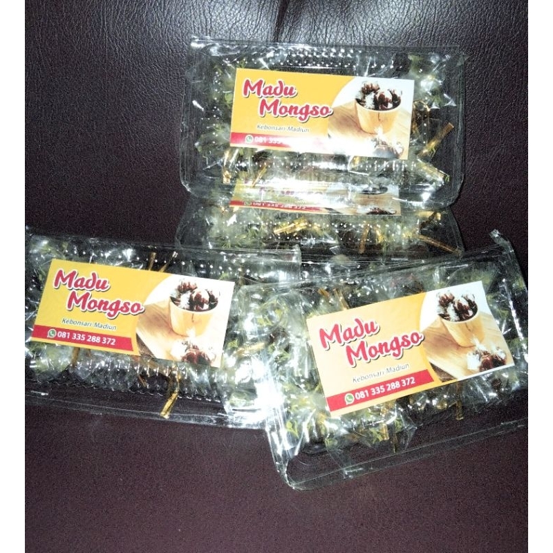 Madu Mongso Asli Madiun