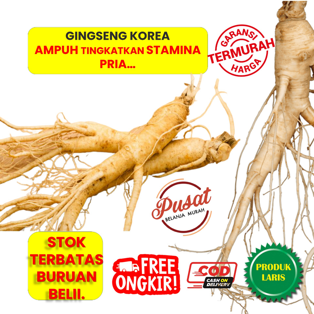 TERMURAHHHH Gingseng Asli Gingseng merah Korea Gingseng merah korea asli Gingseng Merah Stamina Pri