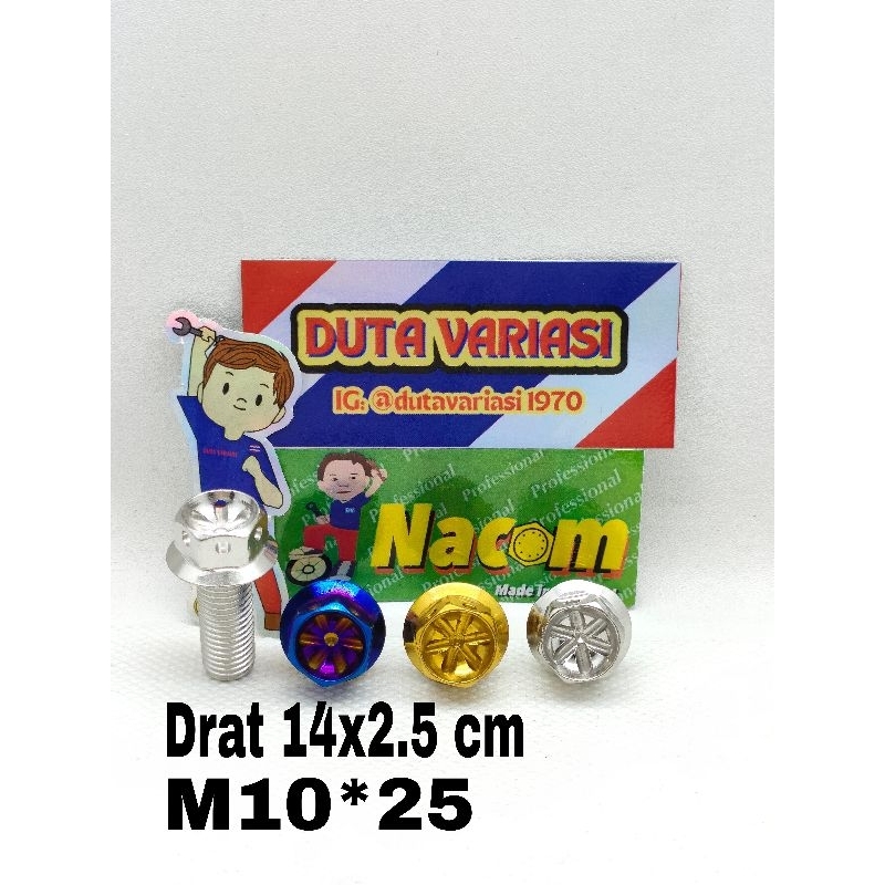 NACOM DV BAUT PROBOLT DRAT 14*2.5 CM  (M10*25)