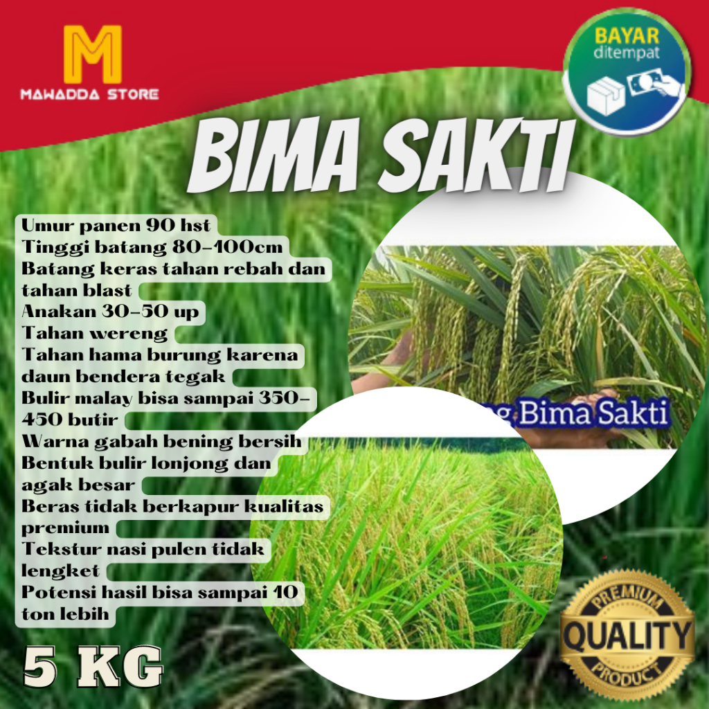 Benih Padi Unggul Bimasakti Bibit Padi BIMA SAKTI 5KG