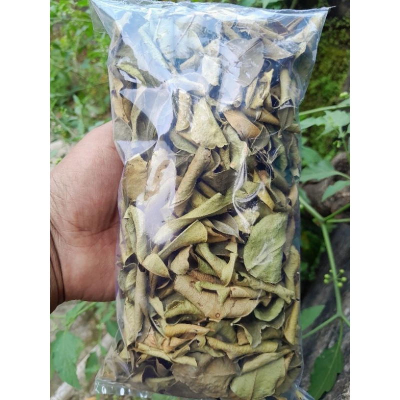 

Daun jeruk purut kering oven