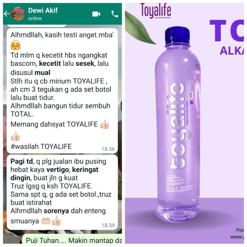 

toyalife dari gtren