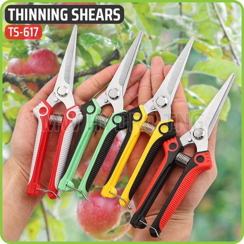 Gardening Thinning Shears TS-617, Gunting Daun Bunga Buah Tanaman Pot