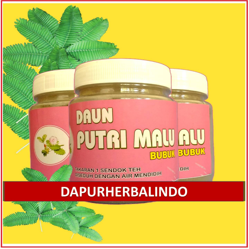 

PUTRI MALU - DAUN PUTRI MALU ( BUBUK MURNI )
