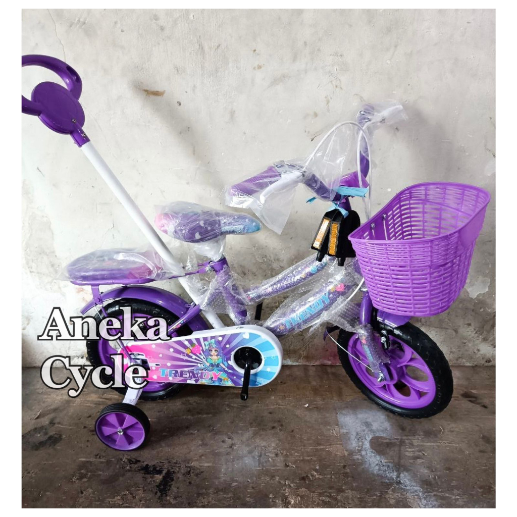 Sepeda Anak Roda Empat Cewek Perempuan Trendy Stir Dorongan 12 Eva