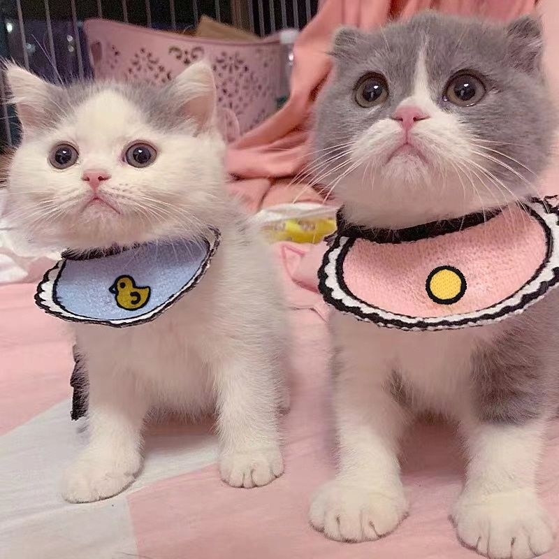 LY PETSTORE | Celemek Kucing Rajut Pet Collar