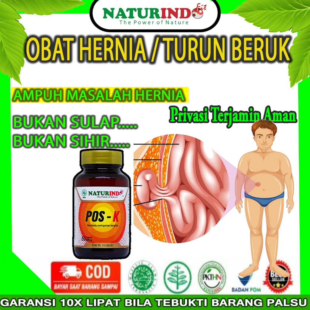 OBAT HERNIA TURUN BERUK HERBAL ALAMI TERBUKTI PALING AMPUH  DEWASA DAN ANAK OBAT HERBAL HERNIA ANAK 