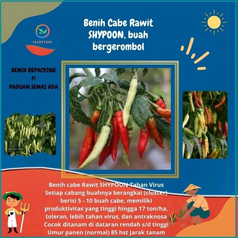 Paket isi : 25 Benih Biji Cabai Rawit SHYPOON BUAH BERGEROMBOL-BENIH F1