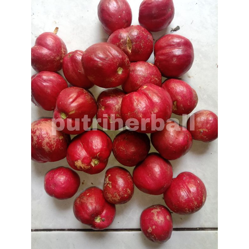 

BUAH MAHKOTA DEWA PER 500 GRAM