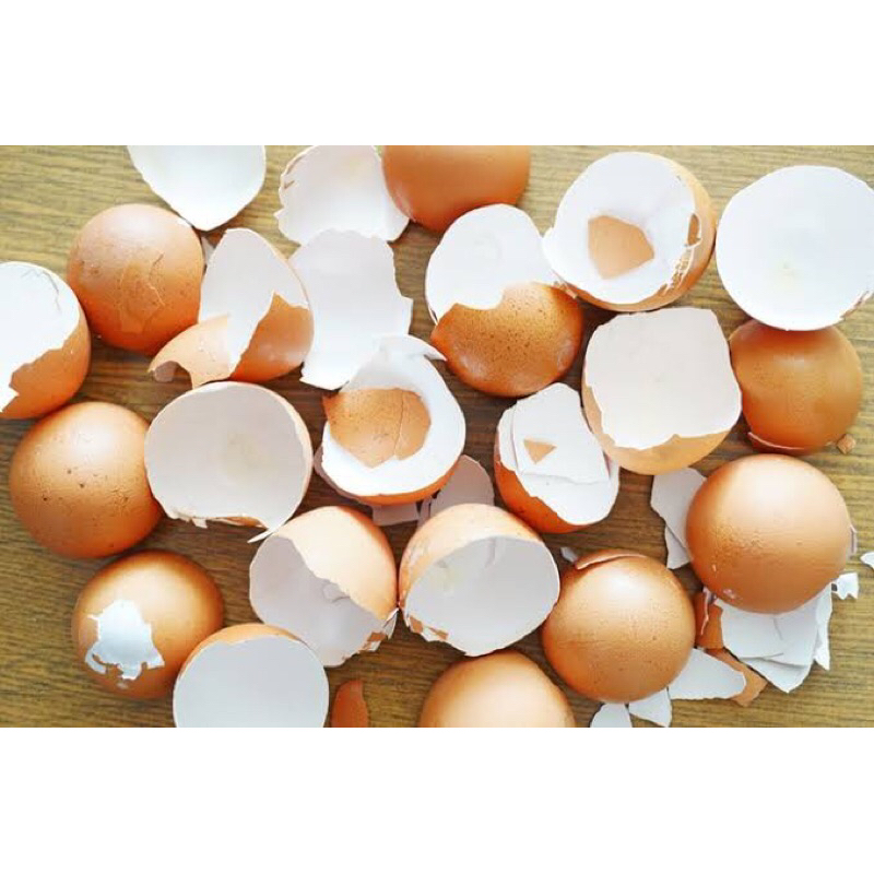 

Cangkang Telur Omega 250g Kasar/Halus