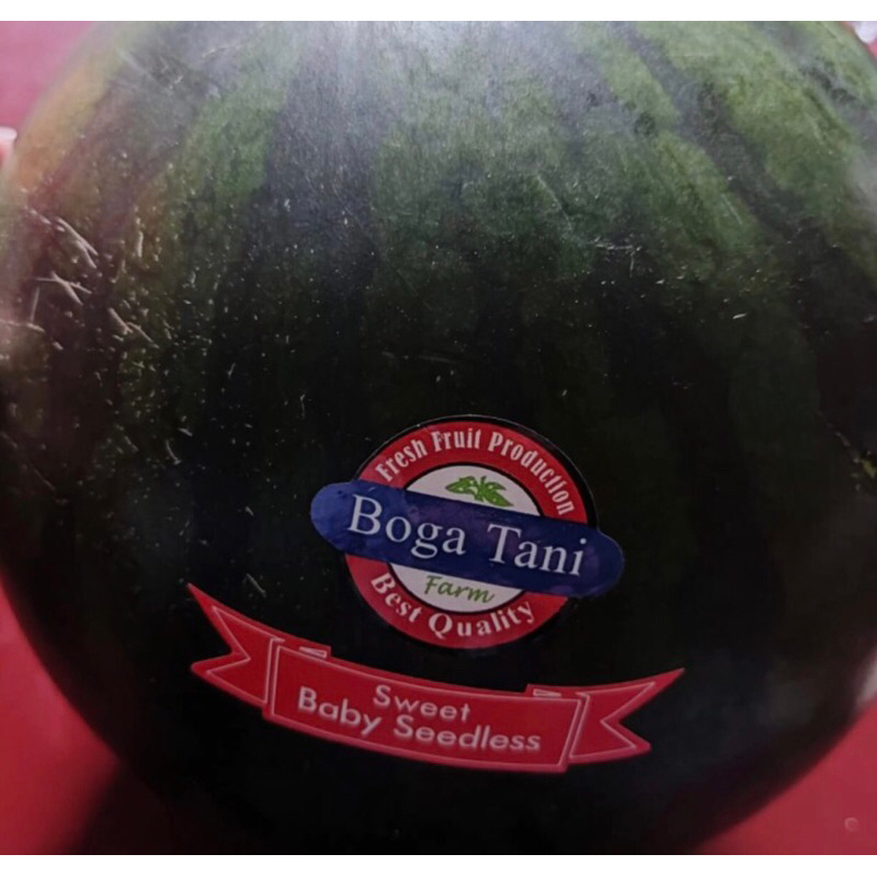 

Semangka Baby Sedless Sweet Manis