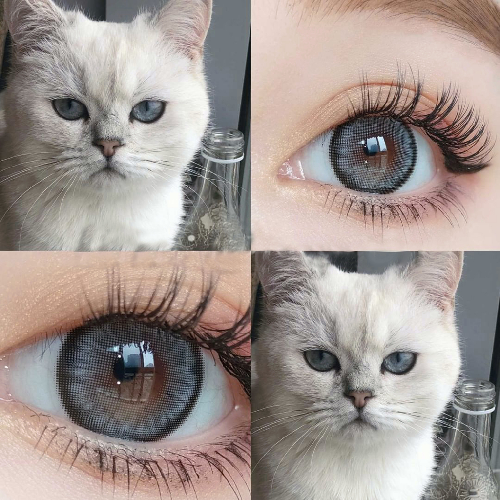 SOFTLENS SOLITAIRE  COLORED LENSES-Dawn Grey 14.5mm
