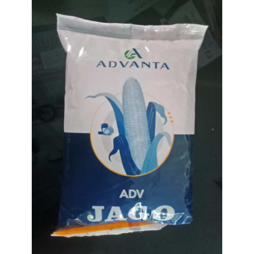 Benih jagung advanta jago 1 kg Jagung advanta benih jagung hibrida advanta jago