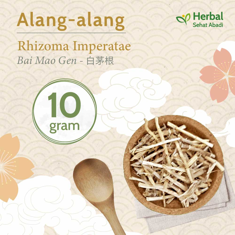 

Alang Alang 10 gram / Bai Mao Gen (茅根)