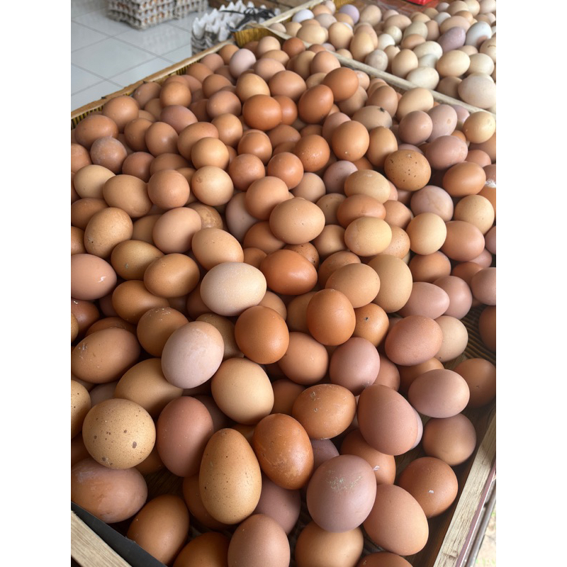 

telur ayam kualitas bagus 1 kg