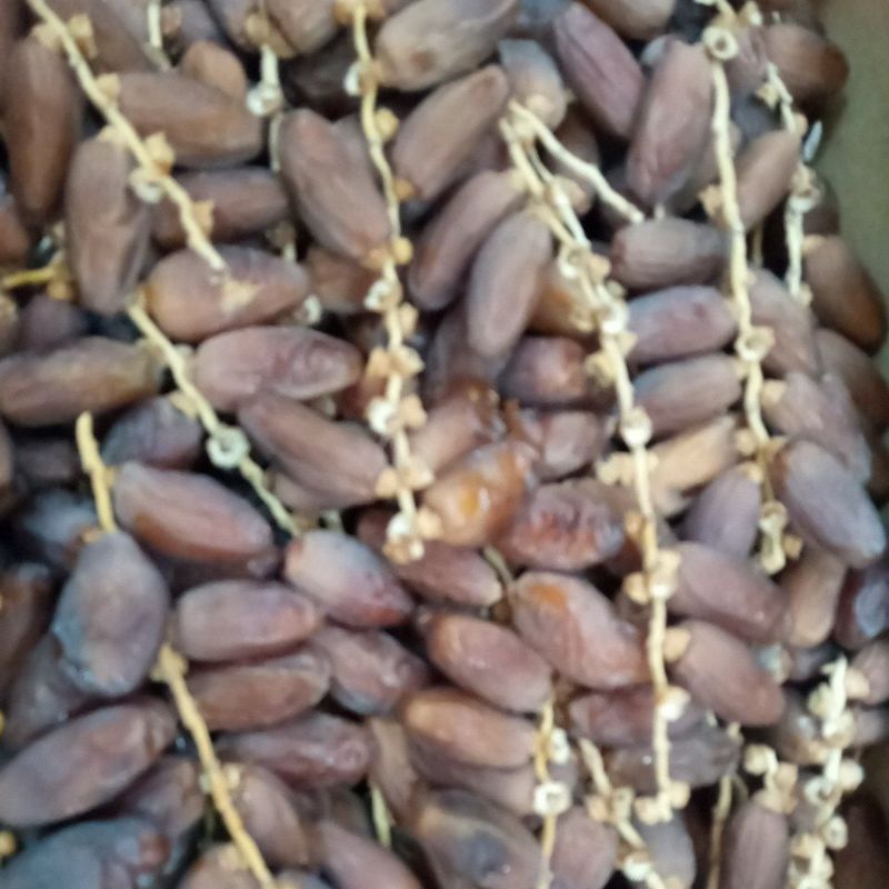 kurma palm fruit tangkai 5 kg