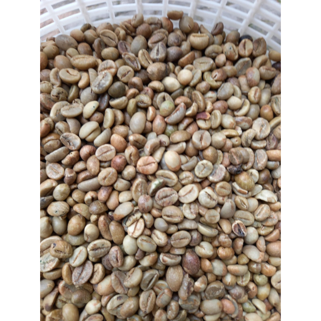 

Biji Kopi/Green Bean Robusta Bengkulu G1 1KG