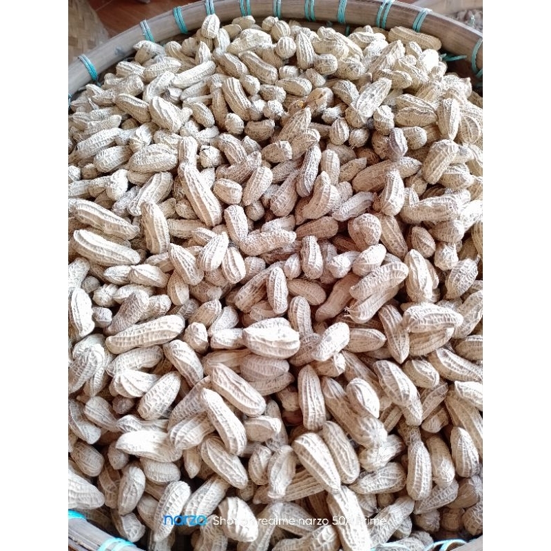 

Kacang Goreng Kulit sangrai Bendo kemasan 5kg