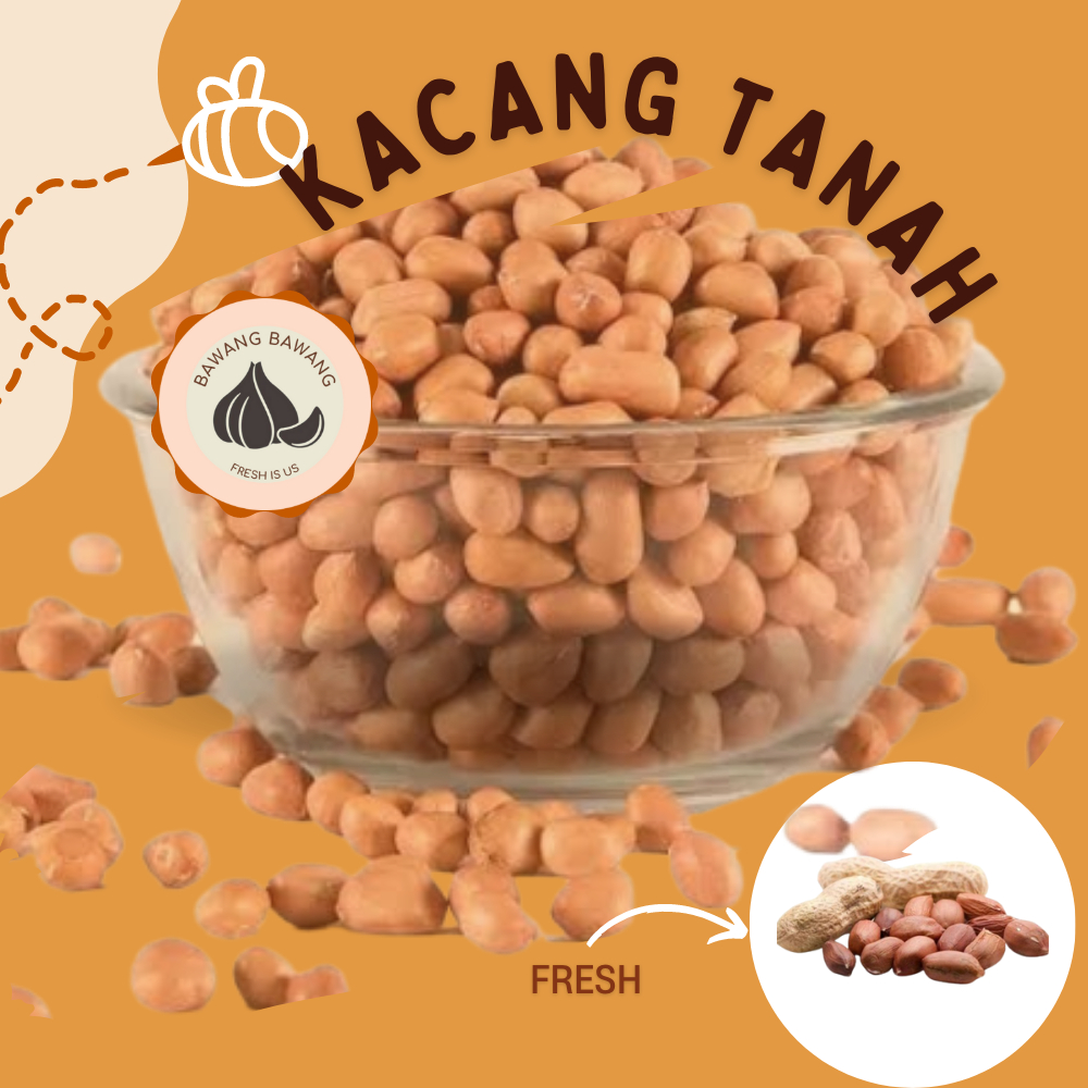 KACANG TANAH KUALITAS PREMIUM HSD 1 KG