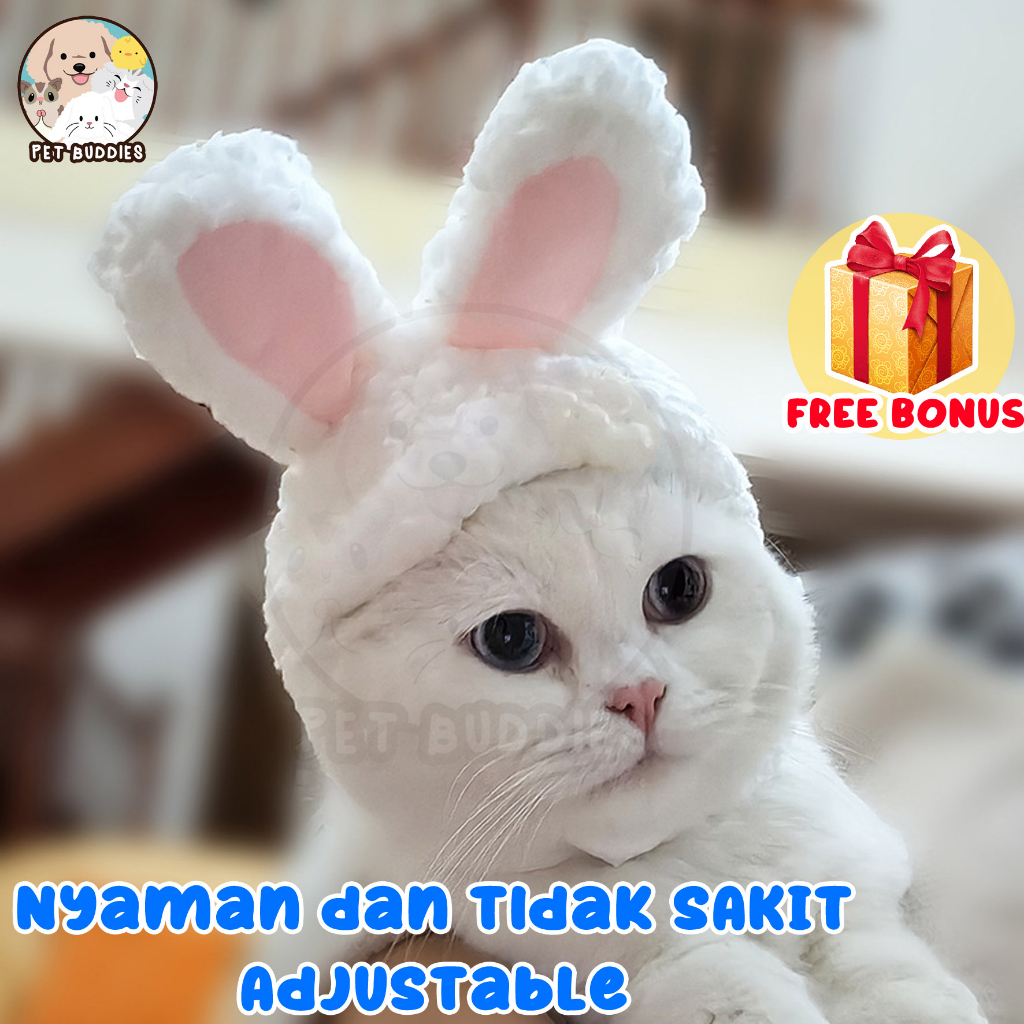 [FREE BONUS]Topi Kelinci Kucing/Anjing Cat Bunny Ears Lucu