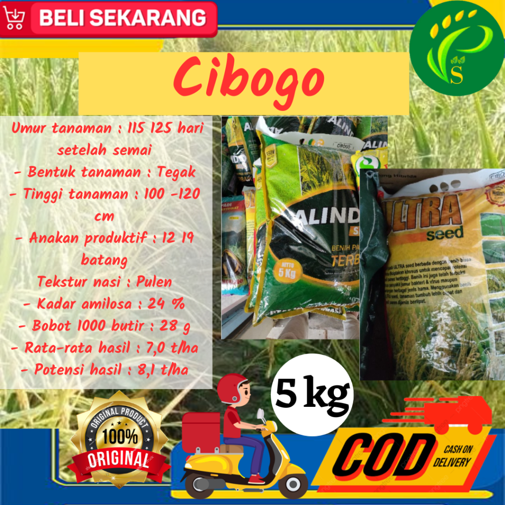 Biji Unggul Padi Cibogo Kemasan 5KG