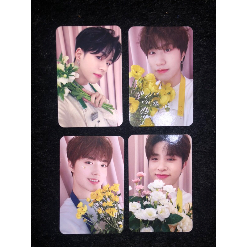 PHOTOCARD OFFICIAL TREASURE BLOOMING